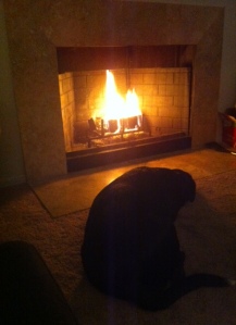 Leni, the youngest, thinks fires are just dandy.